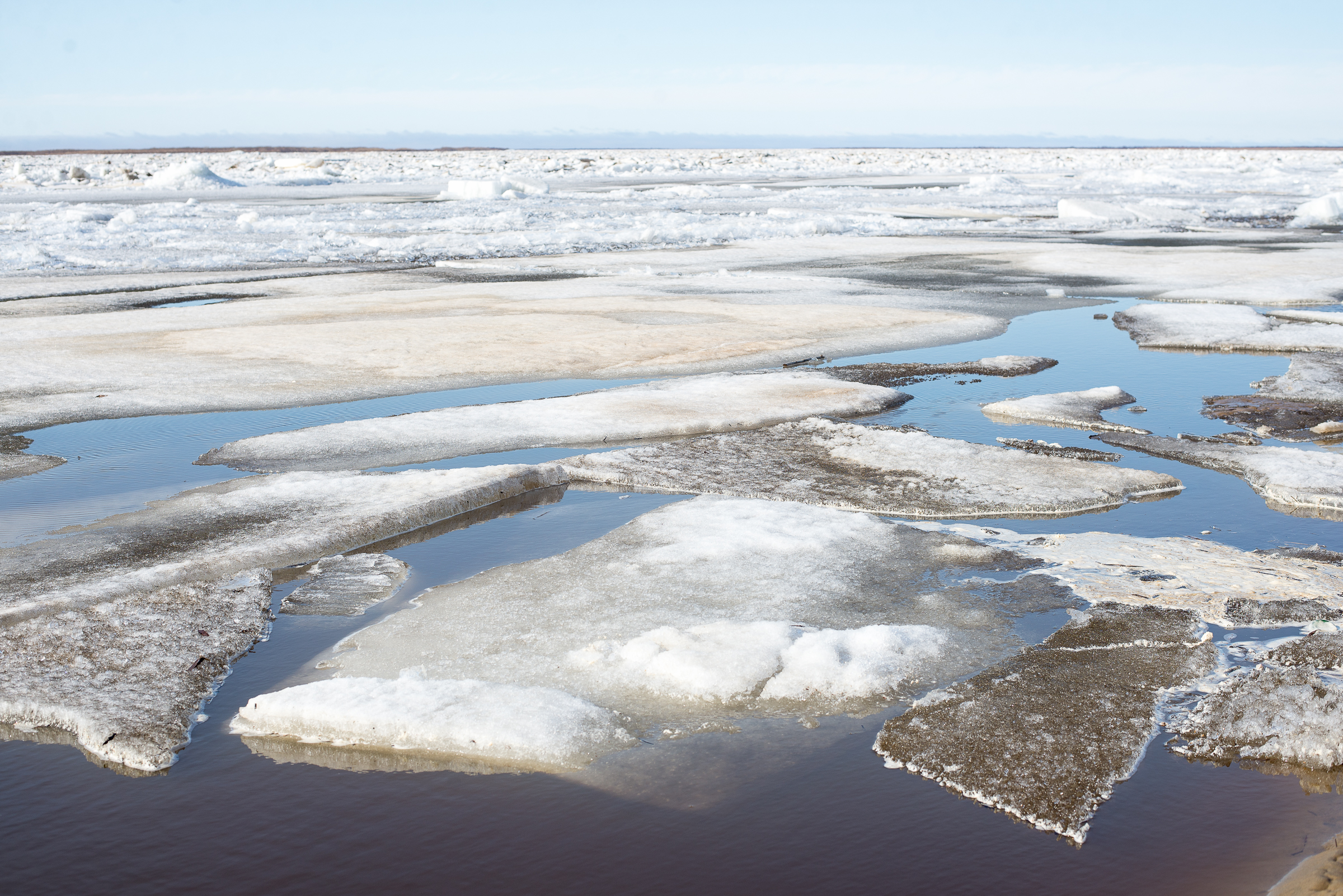 Начало ледохода реки. Заторы льда на реке Печора.
