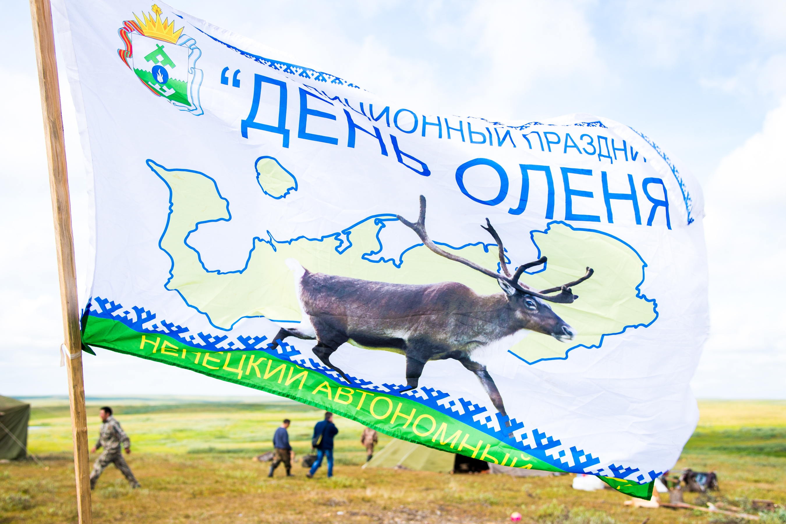 Международный день оленя. 2 Августа день оленя в Ненецком автономном округе. День оленя в Ненецком автономном округе 2 августа картинки. День оленя в НАО. День оленя в Ненецком автономном.